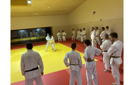 Cours judo adultes sur l'été